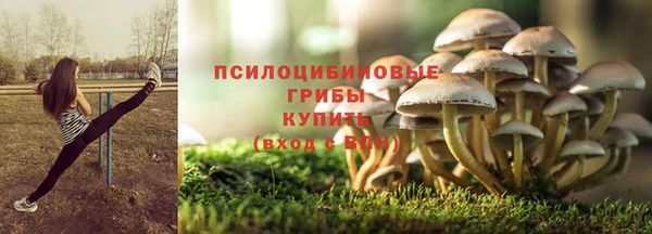МДПВ Сатка