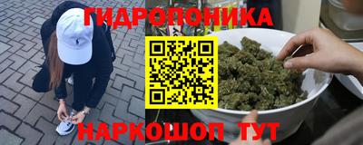 индика Кунгур
