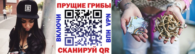 mega онион  цена   Кизилюрт  Псилоцибиновые грибы прущие грибы 