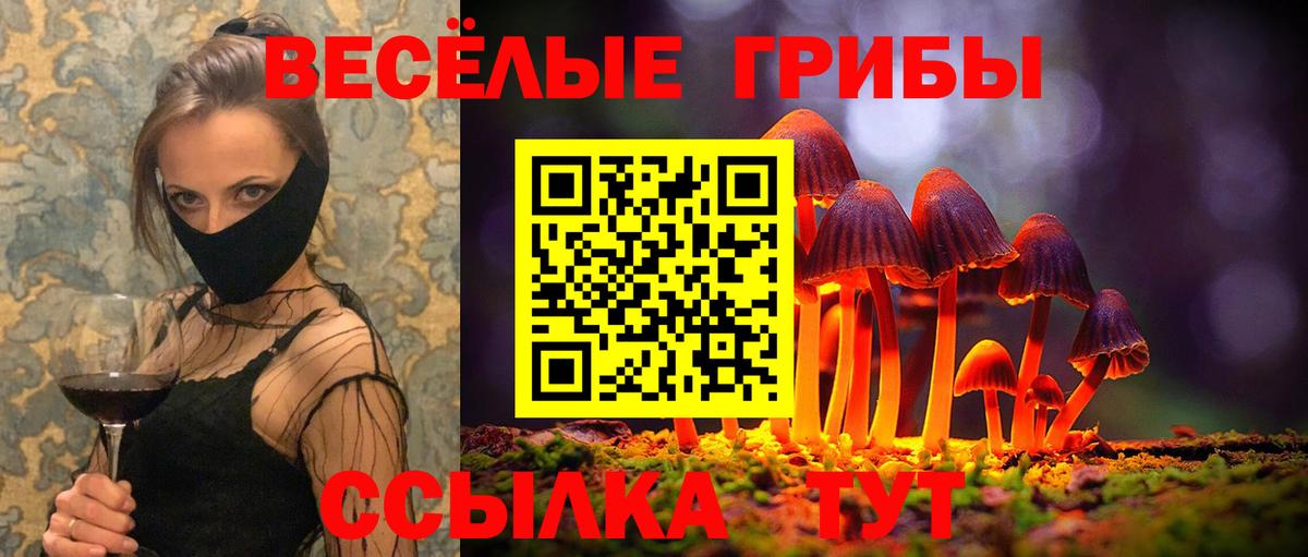Галлюциногенные грибы Cubensis  Вход с VPN  Галлюциногенные грибы MAGIC MUSHROOMS  Кизилюрт 
